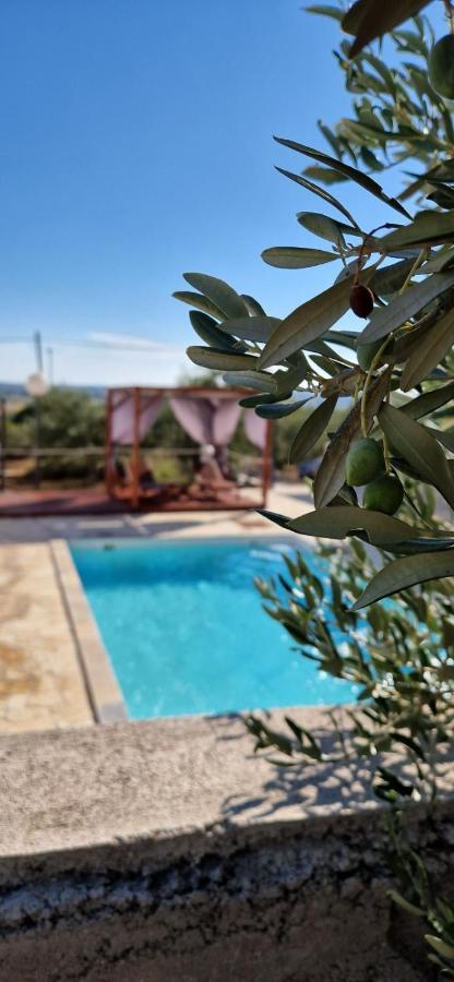 Holiday House Da & Do Pakoštane Dış mekan fotoğraf